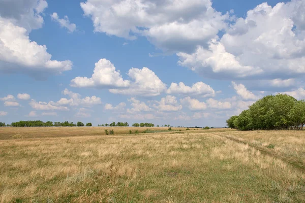 tepeler, ağaçlar, tarlalar, gökyüzü, güneş, bulut manzara