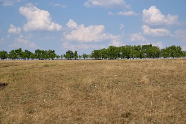 tepeler, ağaçlar, tarlalar, gökyüzü, güneş, bulut manzara