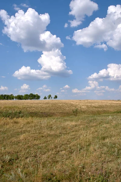 tepeler, ağaçlar, tarlalar, gökyüzü, güneş, bulut manzara