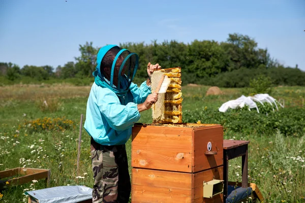 yaşlı adam arıcı petek bal toplar