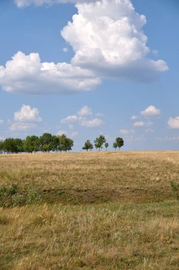 tepeler, ağaçlar, tarlalar, gökyüzü, güneş, bulut manzara