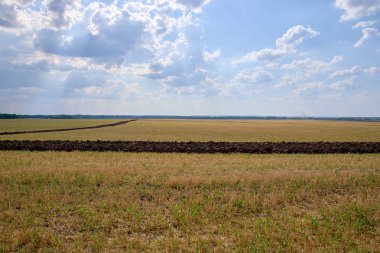 sürülmüş arazi, hasat, çernozem ekili