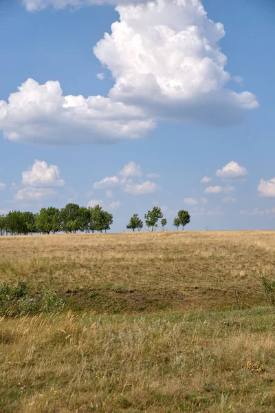 tepeler, ağaçlar, tarlalar, gökyüzü, güneş, bulut manzara