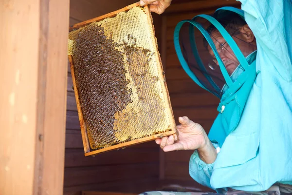 Пчеловод осматривает деревянную раму, собирает мед — стоковое фото