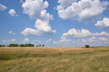 Ufuk ve mavi gökyüzüne uzanan köy çayırları.