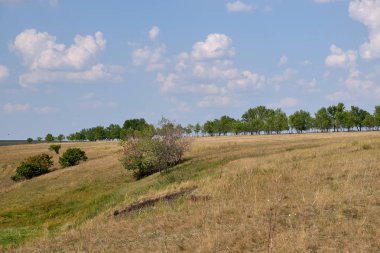 Kırsal sıcak günde yaz manzara.