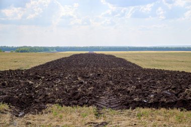 sürülmüş arazi, hasat, çernozem ekili