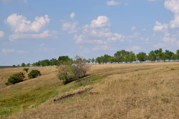 Kırsal sıcak günde yaz manzara.