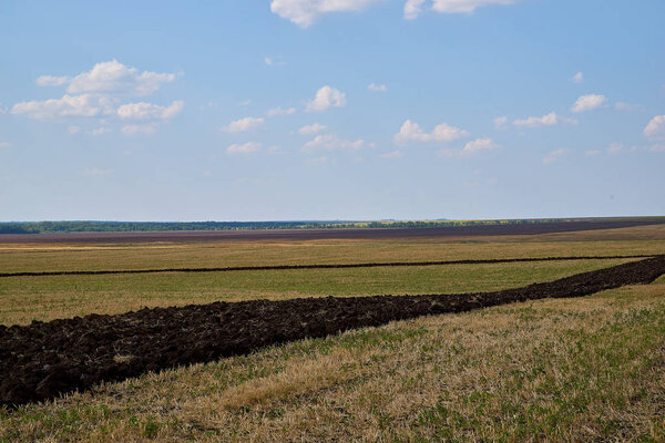 plowed land, harvested, cultivated Chernozem