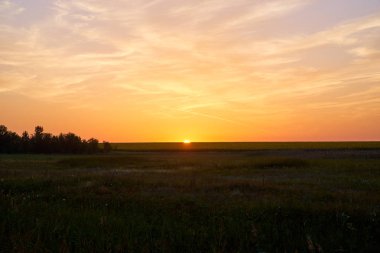 Gün batımı, doğa, tarla. Güneş ufukta batıyor