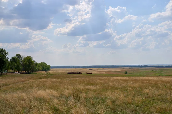 Сельскохозяйственные поля против синего облачного солнечного неба — стоковое фото