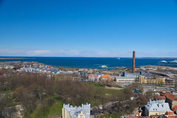 Tallinn tarihi şehir merkezi nin havadan görünümü. 
