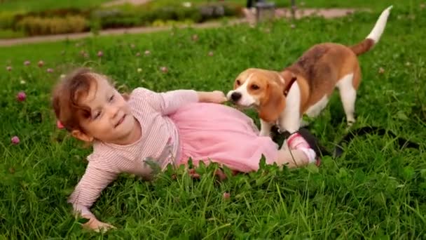 Adorable little girl plays joyfully with her dog. — Stock Video