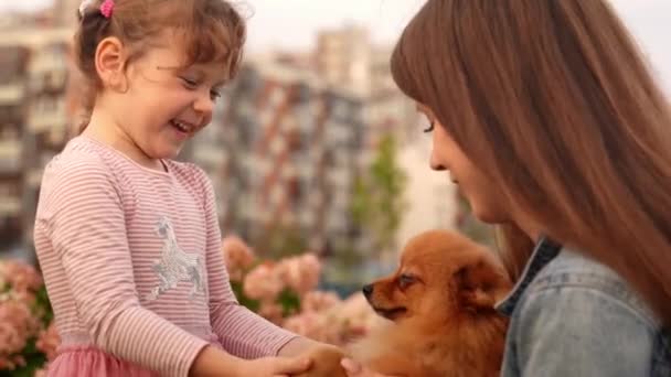 Sweet shild and her mom hold ginger puppy in hands — Stock Video