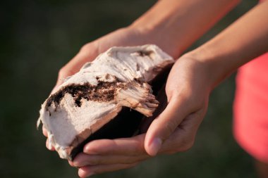 Mantar alanında kalitesiz oldu: wormy