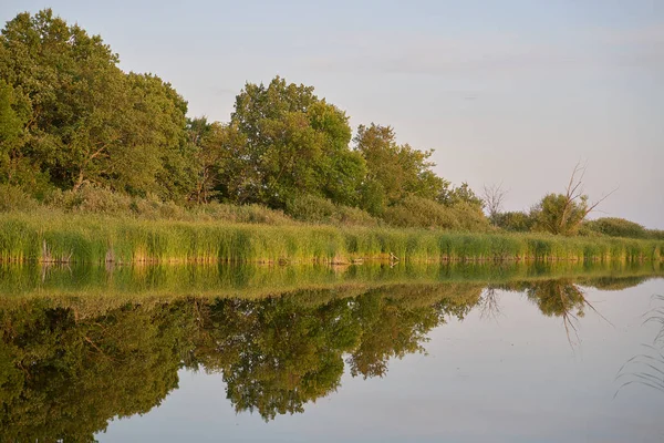 対称反射の木、草、池の空 — ストック写真