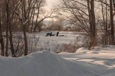 Kış. yakacak odun hasat. üç kişi bir kızak üzerinde yakacak odun taşıyan.