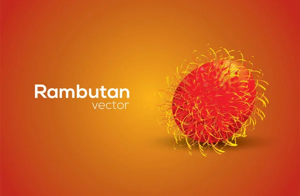 Rambutan Vektor Konst Ritat Illustrator — Stock vektor