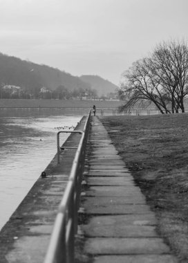 Neris Nehri, Kaunas donmuş nehir manzaralı bir park siyah beyaz resim.