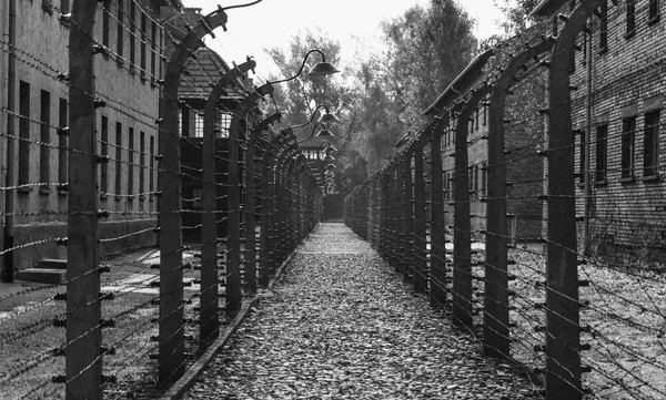 Ein Schwarz Weiß Bild Eines Zaunkorridors Museum Auschwitz Birkenau — Stockfoto