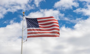 Amerikan Bayrakları I