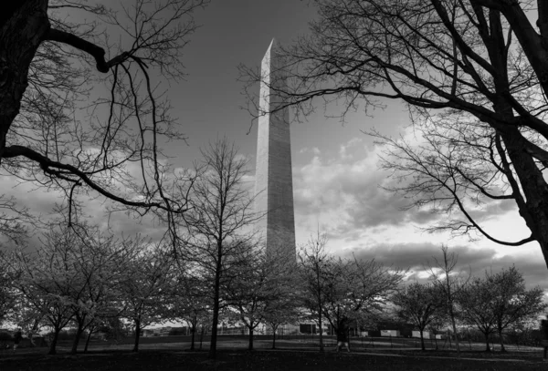 华盛顿纪念碑一 — 图库照片