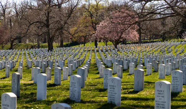 Arlington National Cemetery I — Stock Photo, Image