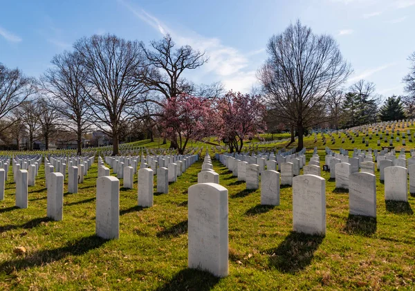 Arlington National Cemetery V — Stock Photo, Image