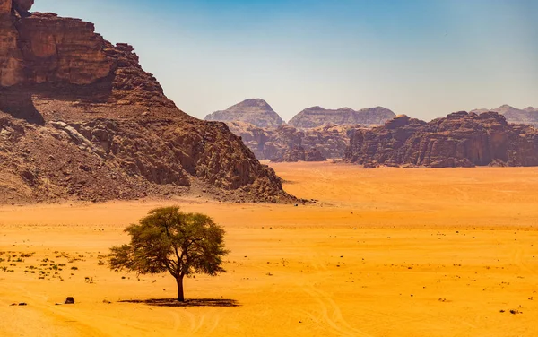 Wadi Rum I — ストック写真
