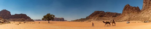 Wadi Rum V — ストック写真