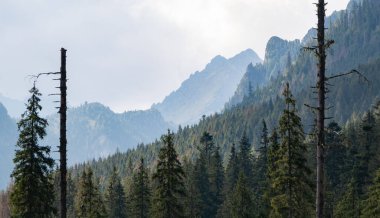 Tatra Dağları manzarasının bir resmi.