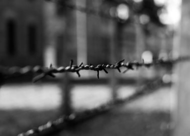 Auschwitz I 'de dikenli tellerin yakın plan çekilmiş siyah beyaz bir resmi..