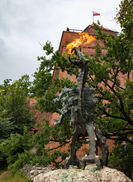 Una Imagen Del Icónico Wawel Dragon Escupiendo Fuego Cracovia — Foto de Stock