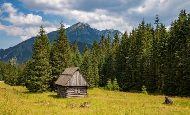 Chocholowska Vadisi 'ndeki (Tatra Milli Parkı) ahşap bir barakanın resmi.).