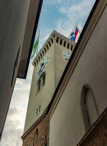 Uma Foto Torre Castelo Liubliana Tirada Dentro Suas Paredes — Fotografia de Stock