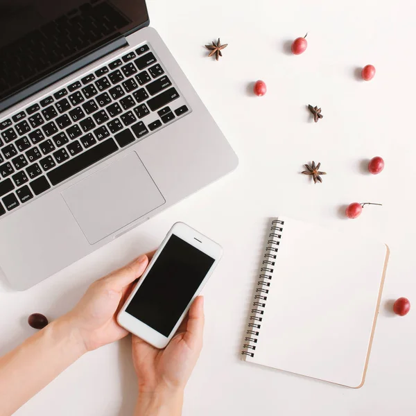 Smartphone Boş Defter Laptop Berry Anasonu Beyaz Arka Planda Sonbahar — Stok fotoğraf