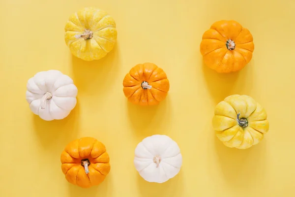 Flat Lay Style Fresh Organic Pumpkins Yellow Background Halloween Thanksgiving — Stock Photo, Image