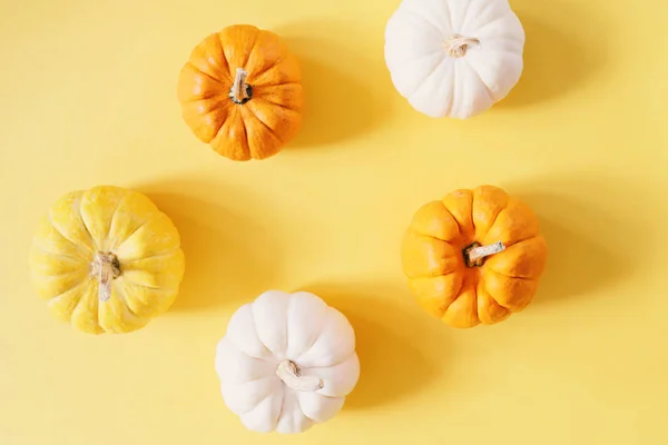 Flat Lay Style Fresh Organic Pumpkins Yellow Background Halloween Thanksgiving — Stock Photo, Image