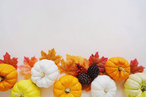 Flache Lage Des Herbsterntekonzepts Kürbisse Und Herbstblätter Auf Gelbem Hintergrund — Stockfoto