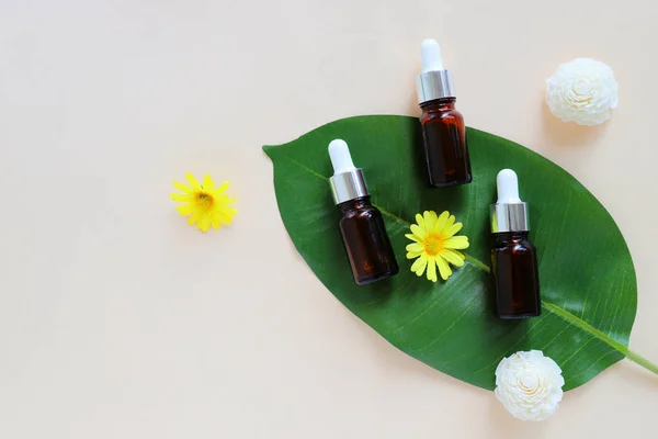 Colocación plana de aceites de aromaterapia orgánica y productos de belleza para mo —  Fotos de Stock