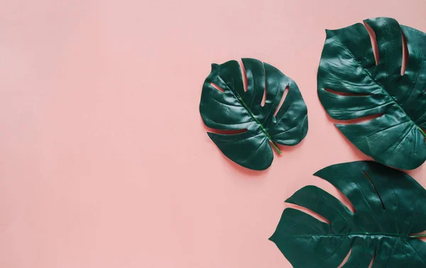 ピンクの背景に緑の熱帯の葉の創造的なフラットレイ オーガニックコンセプト — ストック写真