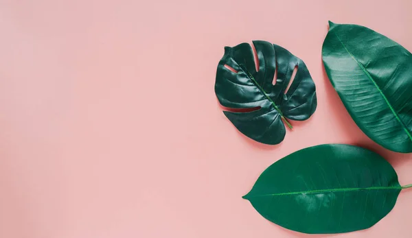 ピンクの背景に緑の熱帯の葉の創造的なフラットレイ オーガニックコンセプト — ストック写真