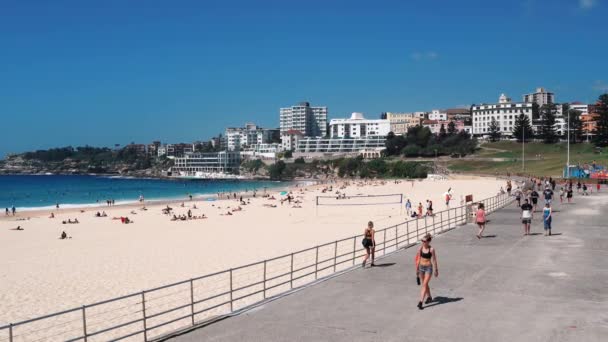 Bondi Beach Sydney Australia January 2019 People Relaxing Sunbathing Bondi — Stock Video