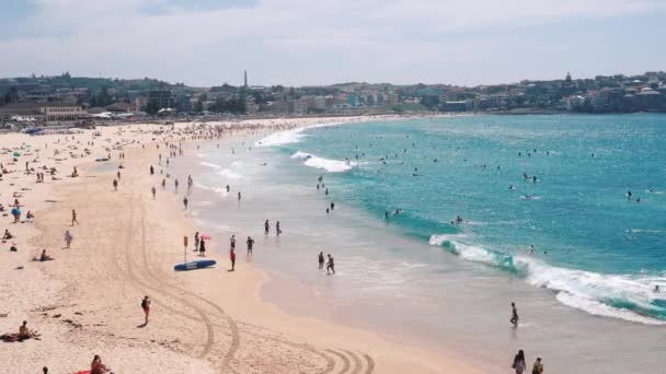 People Relaxing Sunbathing Bondi Beach Sydney Australia — Stock Video