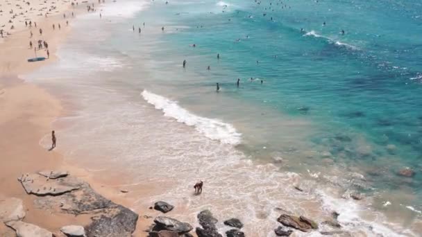 Pessoas Relaxantes Banhos Sol Praia Bondi Sydney Austrália — Vídeo de Stock