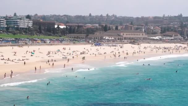 Pessoas Relaxantes Banhos Sol Praia Bondi Sydney Austrália — Vídeo de Stock