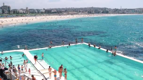 Bondi Beach Sydney Austrália Janeiro 2019 Turistas Nadando Piscina Bondi — Vídeo de Stock