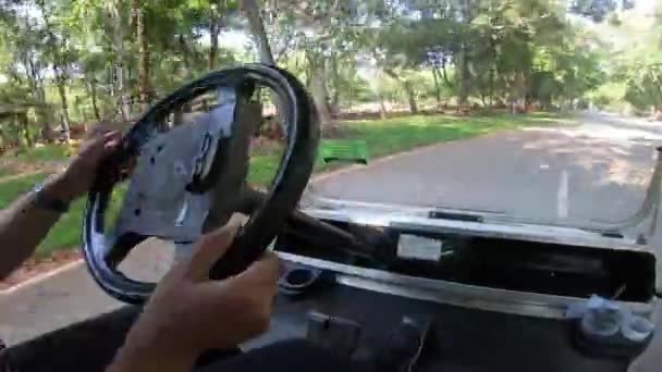 Przycięty Widok Kobiety Jazdy Samochodem Golfowym Drodze Parku — Wideo stockowe
