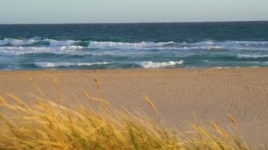 Yaz mevsiminde Avustralya 'nın göl girişinde güzel manzaralı bir sahil.