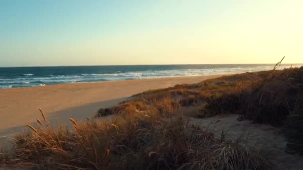 Hermosa Vista Panorámica Playa Verano Entrada Los Lagos Australia — Vídeos de Stock